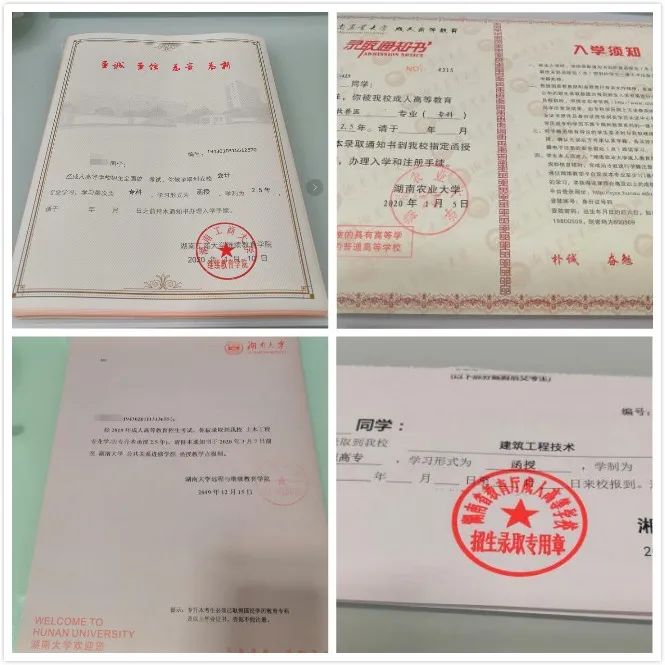 你有一份成人高考“通關寶典”請查收!