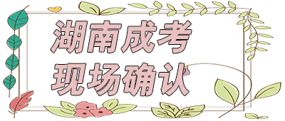 湖南成考現(xiàn)場(chǎng)確認(rèn)
