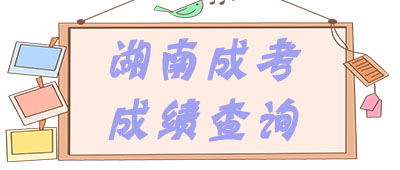 湖南成考成績(jī)查詢(xún)